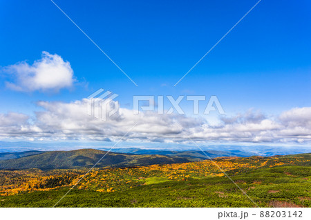 9月の北海道旭岳、紅葉風景 9月の北海道旭岳、紅葉風景 88203142