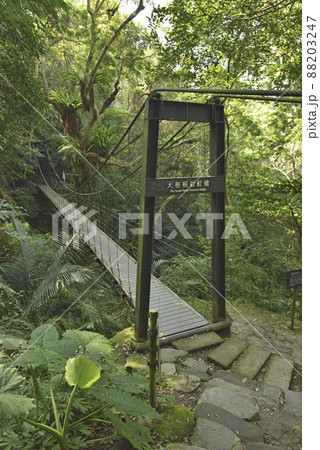 新緑 緑 青緑 88203247