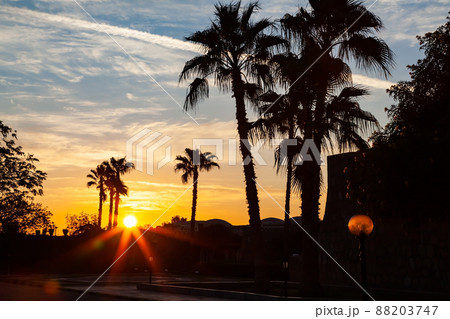 Morning fresh of sunrise on January 1, 2012 at Abu Simbel Village in Aswan, Upper Egypt. 88203747