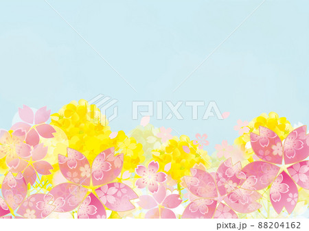 桜と菜の花の美しい背景イラストのイラスト素材