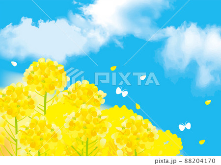 春の葉の花　背景イラスト 88204170