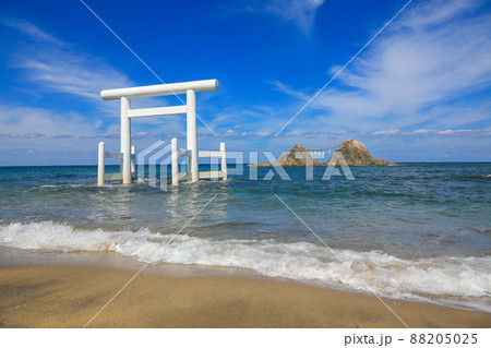 桜井二見ヶ浦の夫婦岩 88205025