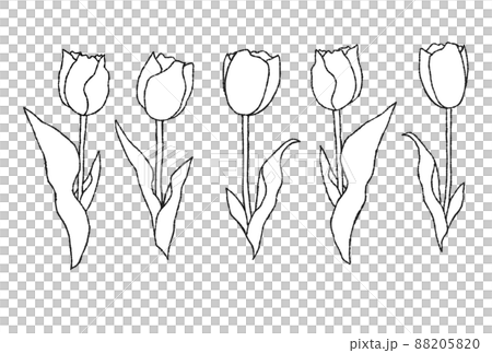 シンプルな花のセット チューリップ 手描き イラストのイラスト素材