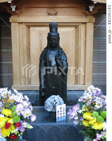 巣鴨のとげぬき地蔵尊高岩寺にある洗い観音 88206183
