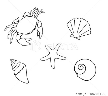 かわいい海辺の生物のシンプルな線画イラスト素材 カニ ヒトデ 貝類 のイラスト素材