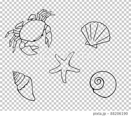 Simple line drawing illustration set of cute seaside creatures (crabs, starfish, shellfish) Simple line drawing illustration set of cute seaside creatures (crabs, starfish, shellfish) 88206190