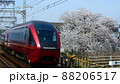 高田桜と近鉄特急ひのとり 88206517