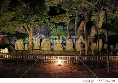 京都大覚寺観月の夕べ　2020年10月3日 88206739