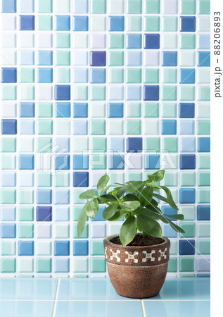 タイル壁と観葉植物 88206893