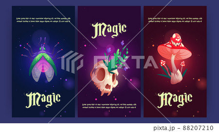 Magic banners with fly, animal skull, and mushroom Magic banners with fly, animal skull, and mushroom 88207210