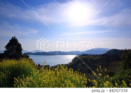 春の瀬戸内風景 88207336