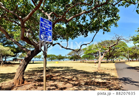 ハワイの休日 88207635