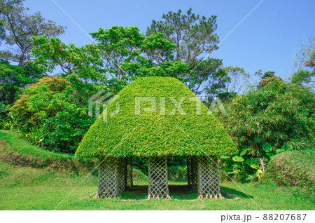 屋根が葉っぱで出来た木の家 88207687
