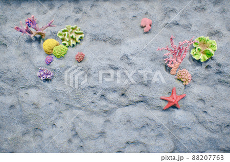 岩から生えるカラフルな珊瑚やイソギンチャク 88207763