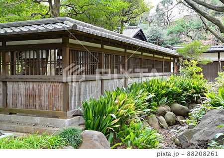 駒場公園:旧前田家本邸 前田侯爵邸 和館 塀 駒場公園:旧前田家本邸 前田侯爵邸 和館 塀 88208261