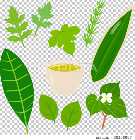 野草茶插畫集 野草茶插畫集 88208997