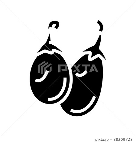 indian eggplant glyph icon vector illustration 88209728