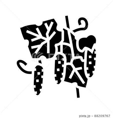 growing natural cucumber glyph icon vector illustration 88209767