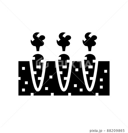 garden with growing carrot glyph icon vector illustration 88209865