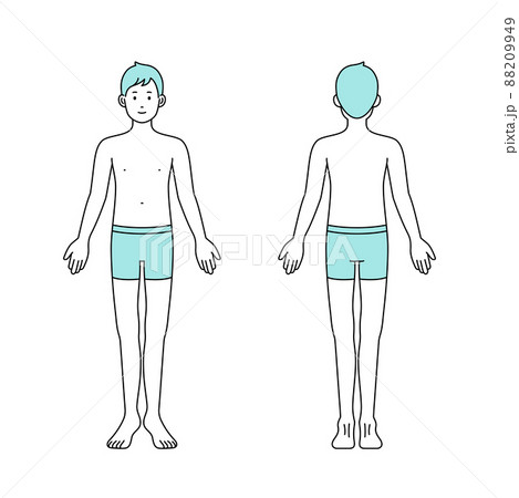 美容のコンセプトのための男性の全身図　前　後 88209949