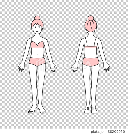 美容のコンセプトのための女性の全身図 前 後 美容のコンセプトのための女性の全身図 前 後 88209950