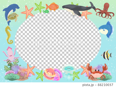 海框架 海框架 88210037