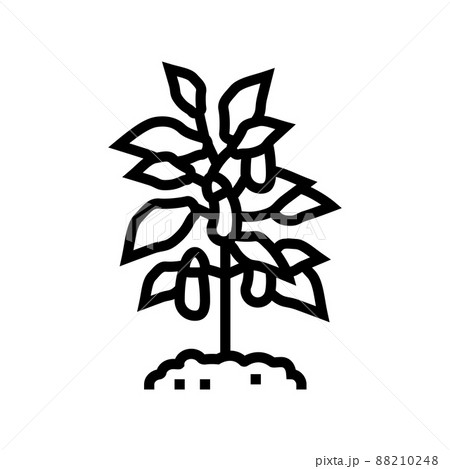 plant eggplant line icon vector illustration 88210248