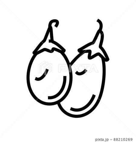 indian eggplant line icon vector illustration 88210269