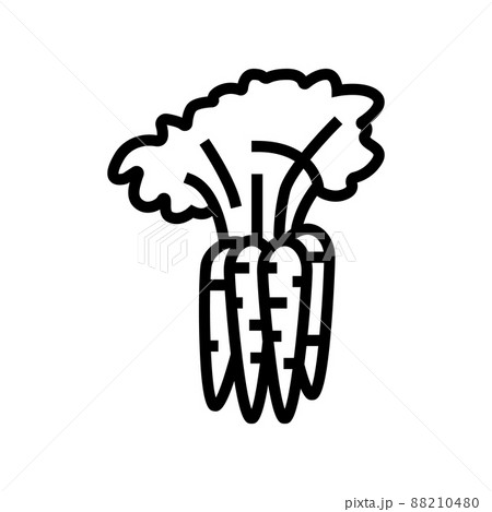 plant carrot line icon vector illustration 88210480