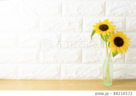 白壁の部屋のイメージ 88210572