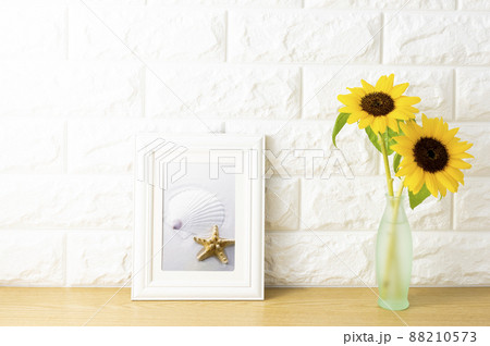 白壁の部屋のイメージ 白壁の部屋のイメージ 88210573