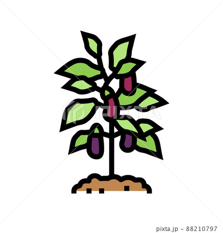 plant eggplant color icon vector illustration 88210797