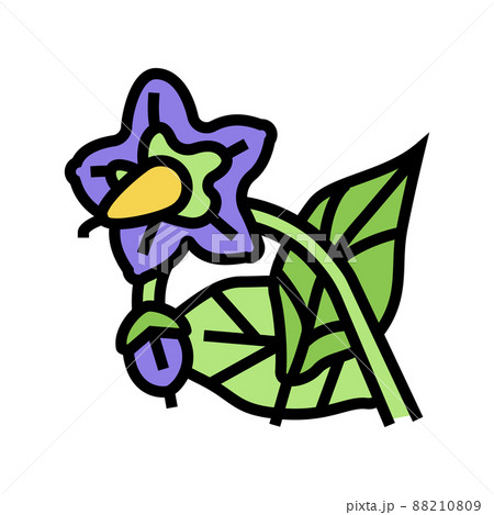eggplant flower color icon vector illustration 88210809