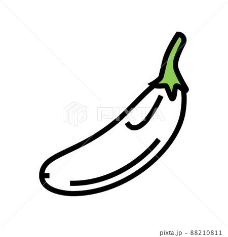 eggplant white color icon vector illustration 88210811