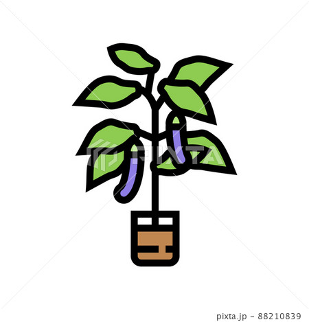 eggplant in pots color icon vector illustration 88210839