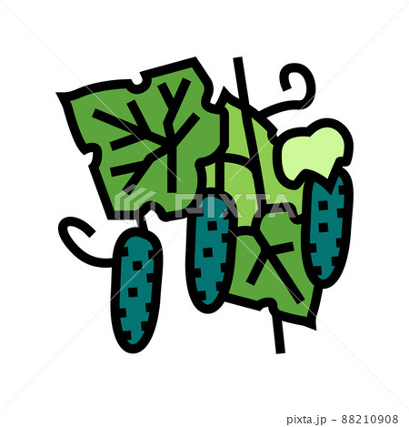 growing natural cucumber color icon vector illustration 88210908