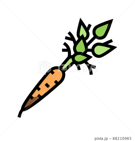 raw carrot color icon vector illustration 88210965