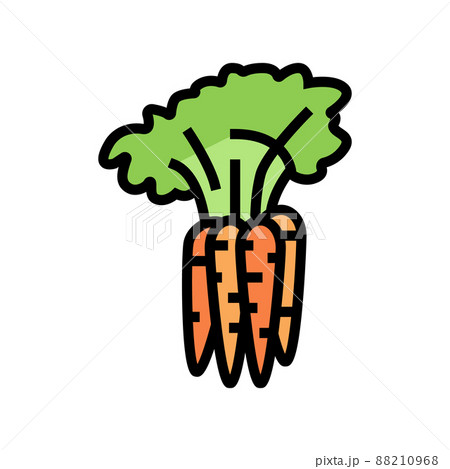 plant carrot color icon vector illustration 88210968