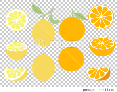 オレンジとレモンのイラストセット 88211340