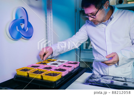 Male biochemist working in the lab on plants 88212058
