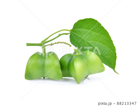 Sacha inchi peanut isolated on white background 88213347