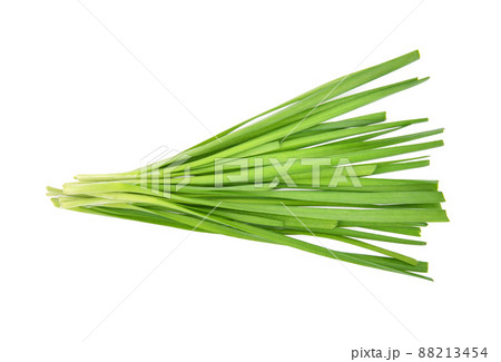 Chinese chives, Garlic chives isolated on white background 88213454