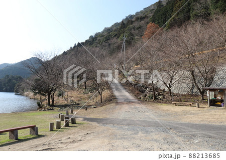 蒼霧鯉池 一ノ俣桜公園 山口県下関市 蒼霧鯉池 一ノ俣桜公園 山口県下関市 88213685