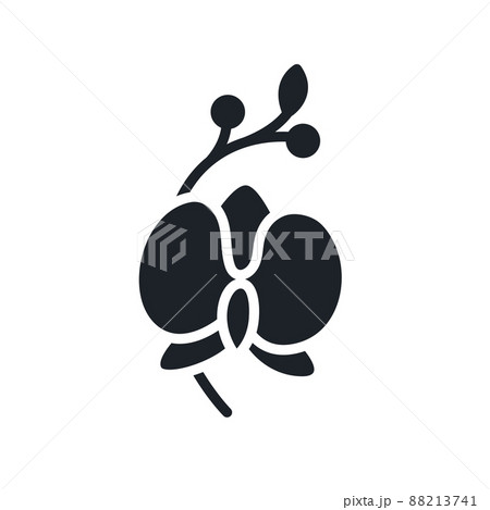 Orchid icon. Home flowers isolated vector silhouette. Home gardening 88213741