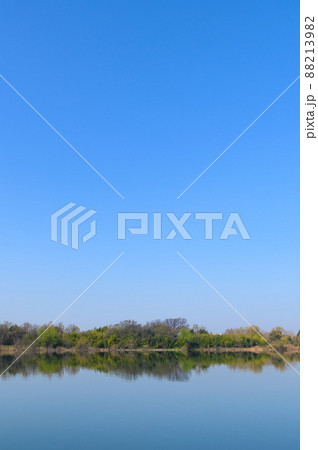 (埼玉県)春の情景・彩湖と青空 (埼玉県)春の情景・彩湖と青空 88213982