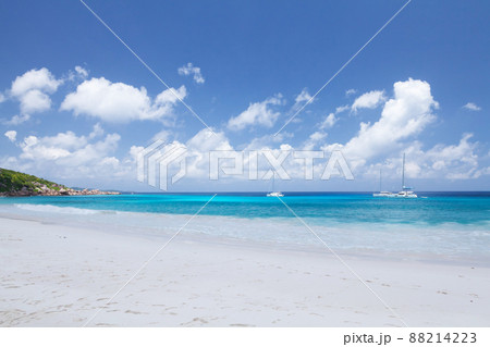 Tropical beach with palm trees 88214223