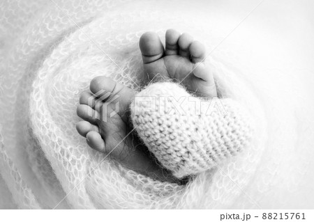 The tiny foot of a newborn baby. Soft feet of a new born in a wool blanket. Close up of toes, heels and feet of a newborn. Knitted heart in the legs of baby. Macro photography. Black and white. The tiny foot of a newborn baby. Soft feet of a new born in a wool blanket. Close up of toes, heels and feet of a newborn. Knitted heart in the legs of baby. Macro photography. Black and white. 88215761