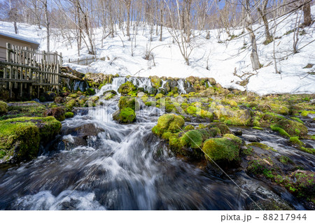 美しい羊蹄のふきだし湧水の景色 美しい羊蹄のふきだし湧水の景色 88217944