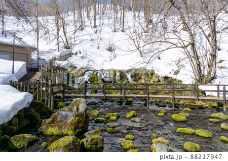 美しい羊蹄のふきだし湧水の風景 美しい羊蹄のふきだし湧水の風景 88217947