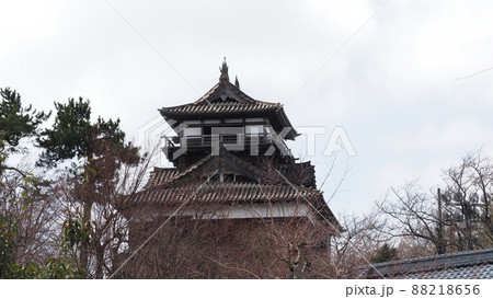 霞ヶ城公園から丸岡城天守 88218656